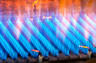 Badicaul gas fired boilers